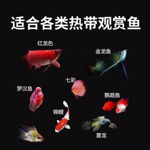 龍魚發色燈和增艷燈什么區別啊視頻講解：如何搭配增艷燈和發色燈，不同品牌龍魚燈效果對比
