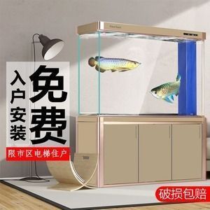 龍魚新缸幾天換水：龍魚新缸換水策略對水質(zhì)穩(wěn)定性和魚類健康至關(guān)重要