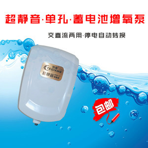 高背金龍魚長多大能繁殖后代（如何提高高背金龍魚繁殖率）