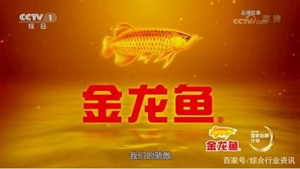 金龍魚什么企業