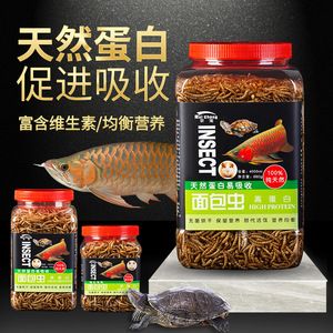 龍魚是否可以吃面包蟲干（龍魚可以吃面包蟲干嗎？）