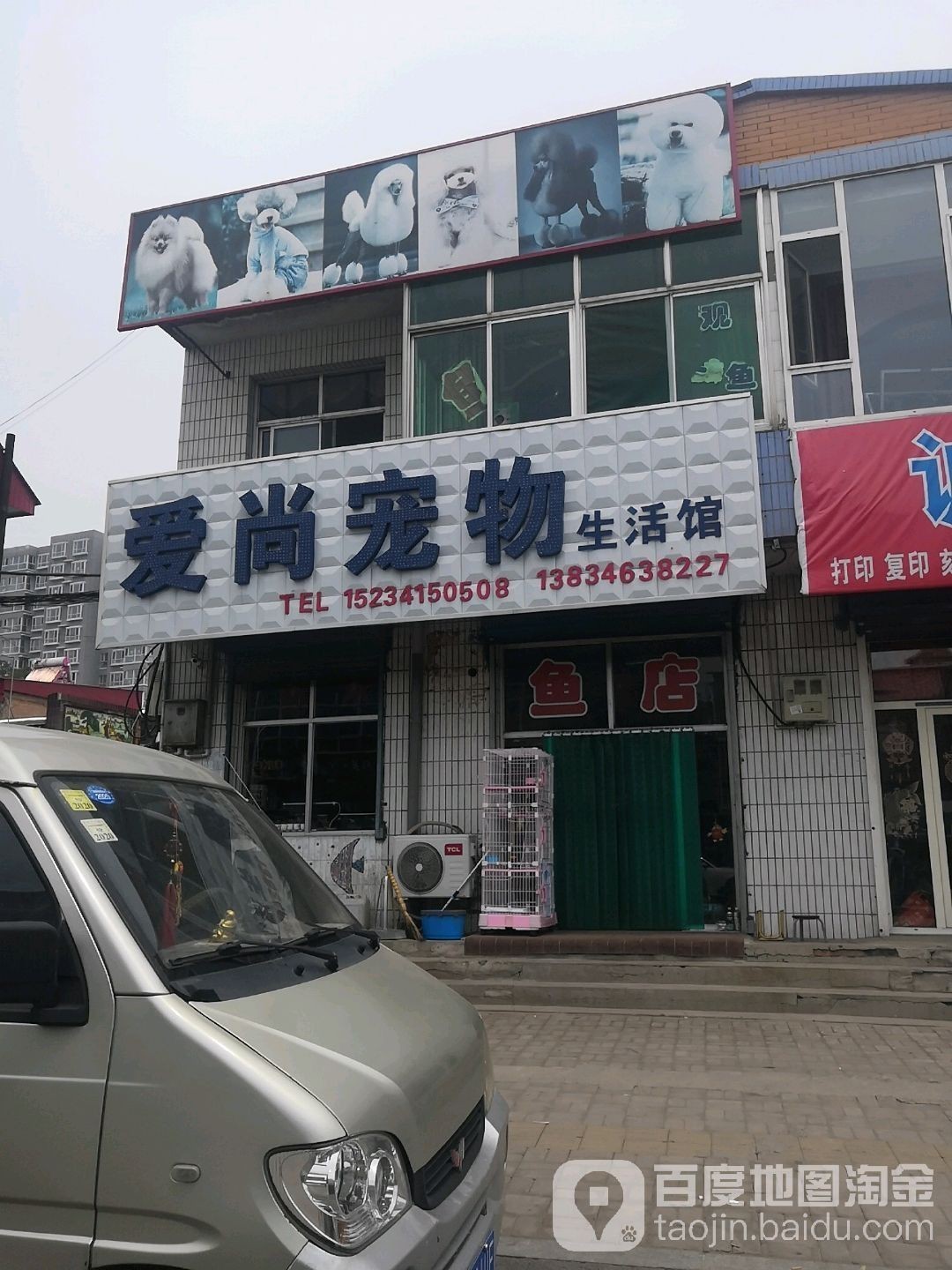 太原龍魚生活館怎么樣啊