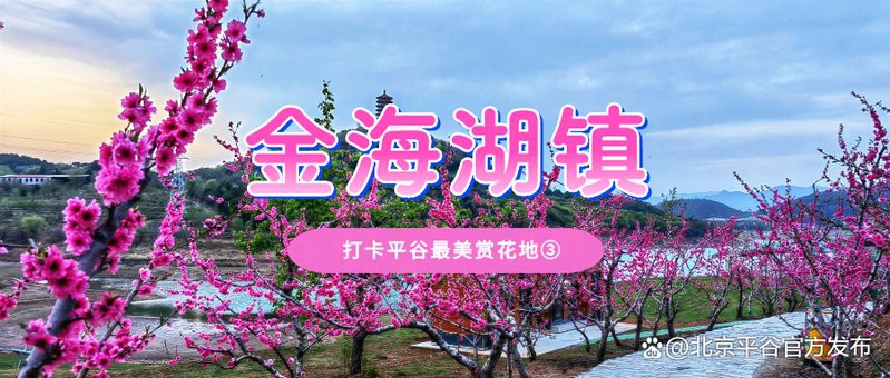 太原龍魚生活館怎么樣啊