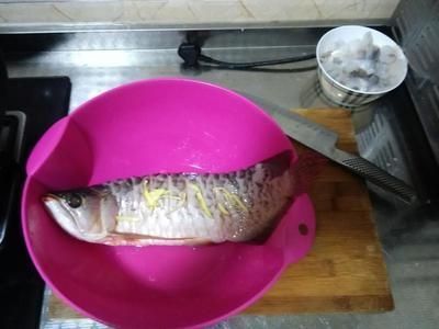 龍魚加鹽比例（關于龍魚加鹽比例的一些詳細信息）