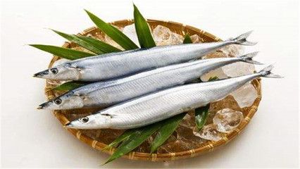秋刀魚營養價值介紹，秋刀魚的保存方法有哪些秋刀魚的保存方法有哪些