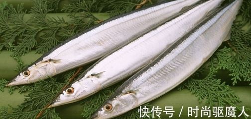 秋刀魚營養價值介紹，秋刀魚的保存方法有哪些秋刀魚的保存方法有哪些