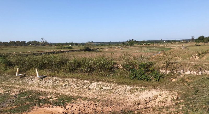 海口哪里養(yǎng)殖龍魚最多