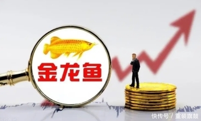 紅龍魚飼養技巧和方法圖解（紅龍魚飼養技巧和方法圖解大全）