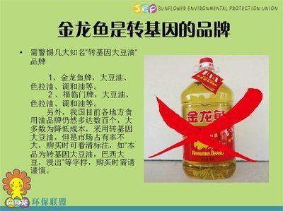 金龍魚鑒定網站有哪些，金龍魚官網最新質檢報告