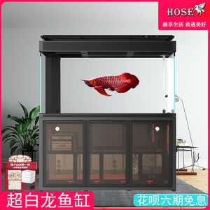 龍魚什么背景缸養(yǎng)好：養(yǎng)一缸好背景的龍魚需要考慮多個(gè)因素