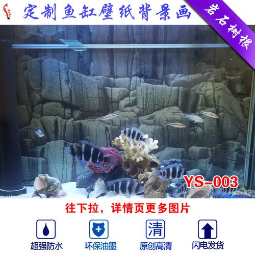龍魚什么背景缸養(yǎng)好：養(yǎng)一缸好背景的龍魚需要考慮多個(gè)因素
