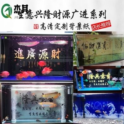 龍魚什么背景缸養(yǎng)好：養(yǎng)一缸好背景的龍魚需要考慮多個(gè)因素