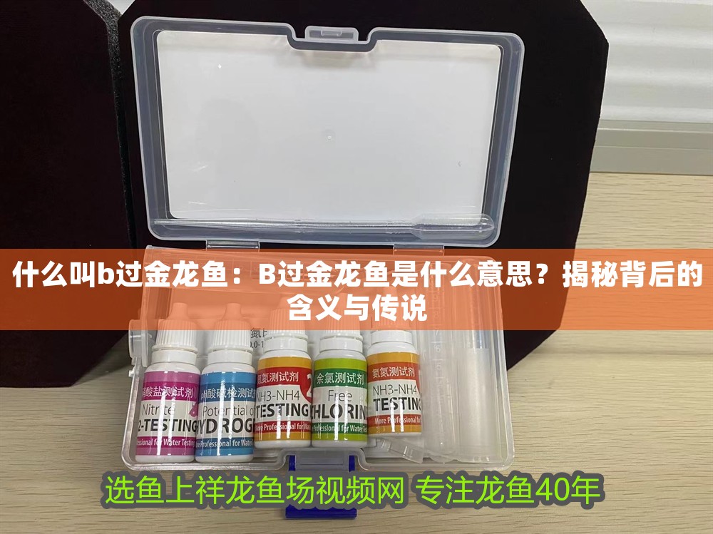 什么叫b過金龍魚：B過金龍魚是什么意思？揭秘背后的含義與傳說