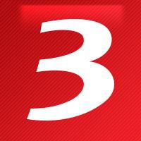 金龍魚logo圖案大全