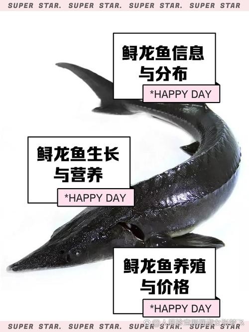 鱘龍魚可以做魚生嗎