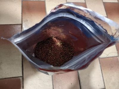 龍魚魚糧什么牌子好用：龍魚飼料品牌選擇指南