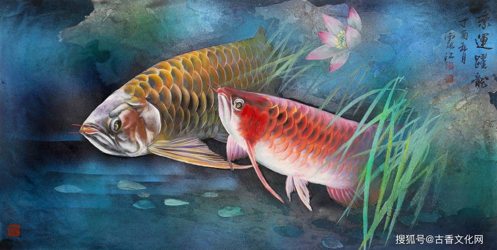 國畫金龍魚圖片大全大圖欣賞高清