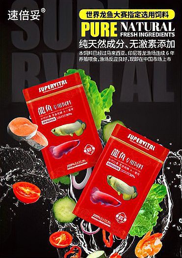 速倍妥龍魚飼料