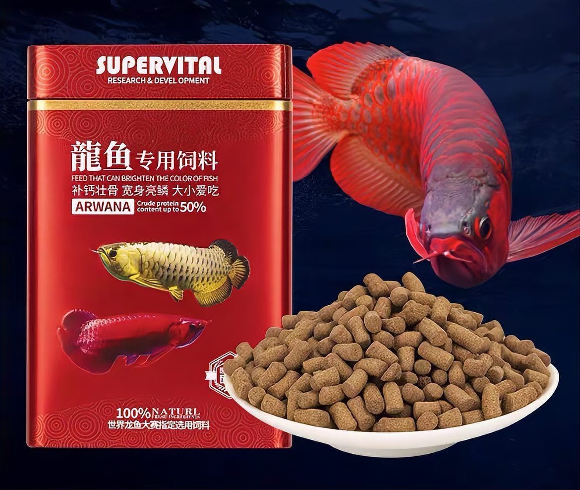 速倍妥龍魚飼料