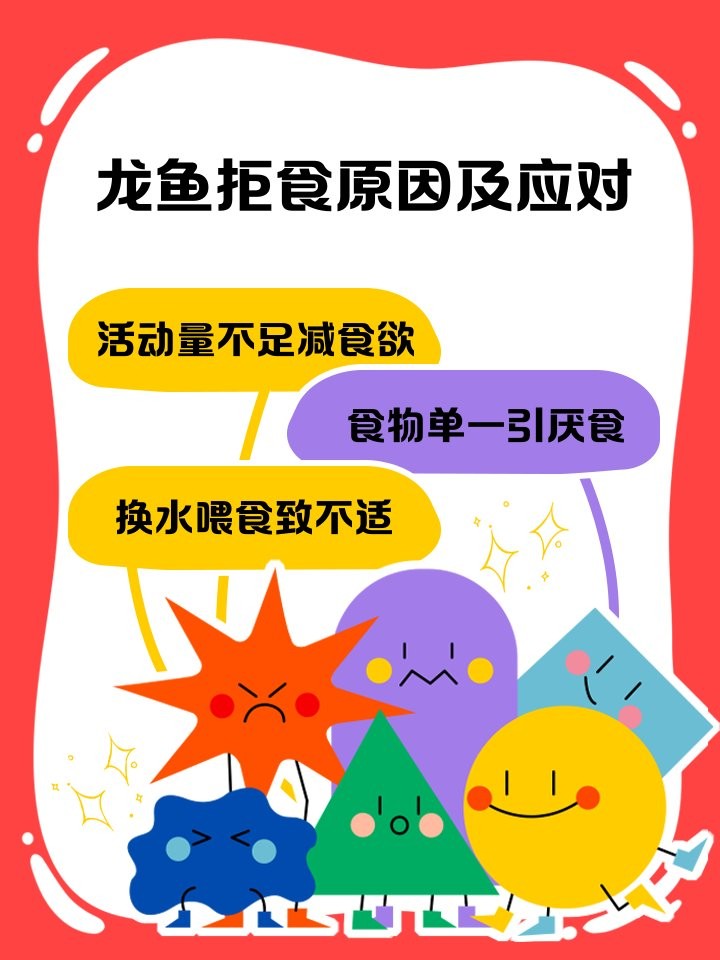 龍魚不吃蟑螂怎么辦