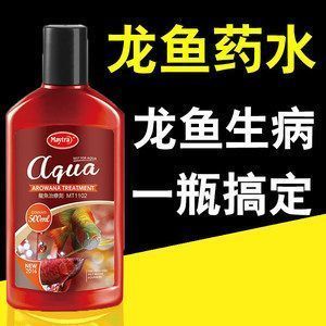 龍魚立鱗病什么藥好使：龍魚立鱗病治療案例分享