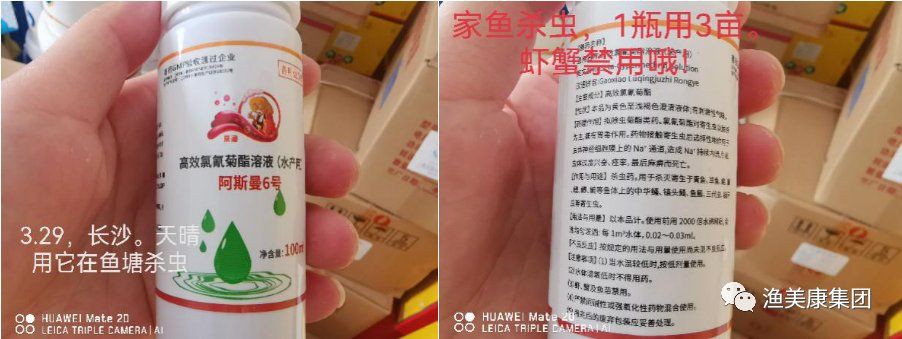 氯氰菊酯藥魚多久見效【氯氰菊酯藥魚多久見效水產殺蟲劑多久能發揮作用一定要知道】