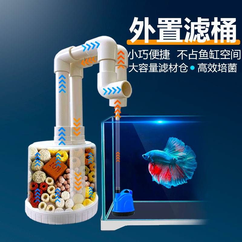 魚缸三合一過濾盒內濾材擺放（如何維護魚缸三合一過濾盒）