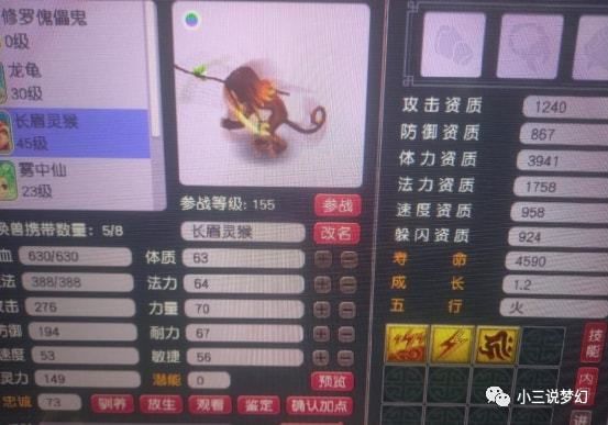 龍魚等級查詢網(wǎng)站，如何辨別龍魚芯片真?zhèn)?龍魚等級劃分標(biāo)準(zhǔn)介紹