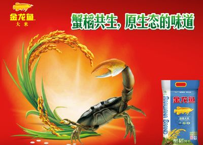 原生態(tài)金龍魚