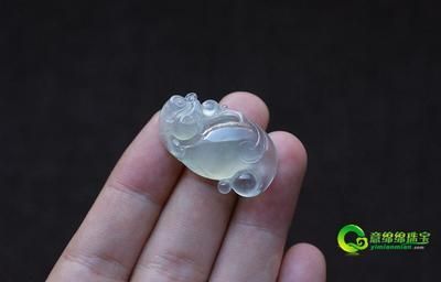 玉龍魚（玉龍魚寓意和象征意義在中國文化中占有重要地位）