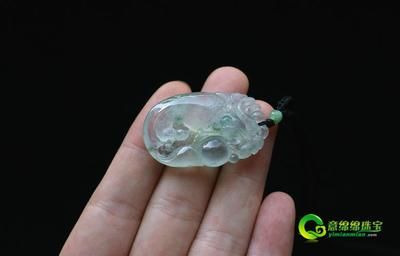 玉龍魚（玉龍魚寓意和象征意義在中國文化中占有重要地位）