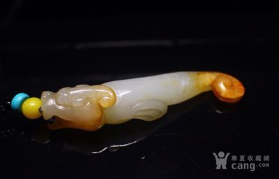 玉龍魚（玉龍魚寓意和象征意義在中國文化中占有重要地位）
