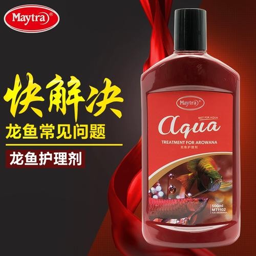 銀龍魚背鰭爛怎么治啊圖片