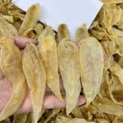 金龍魚膠哪里產(chǎn)的最好（印度產(chǎn)的金龍魚膠被認(rèn)為是上品）