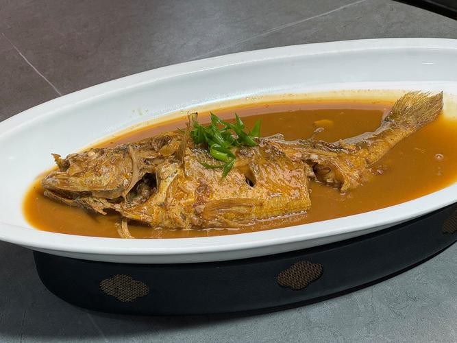 寧波龍魚怎么燒才好吃呢圖片 寧波龍魚怎么燒才好吃呢圖片 龍魚百科 第16張