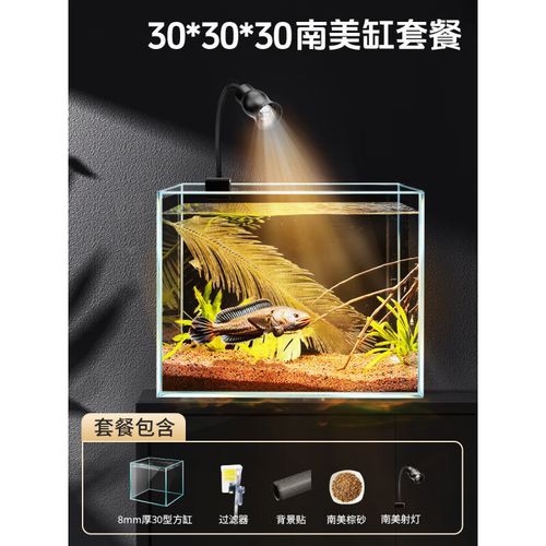 養一條雷龍魚用什么過濾器