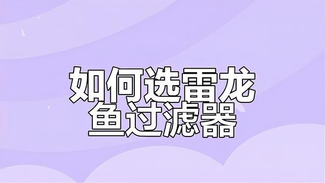 養一條雷龍魚用什么過濾器