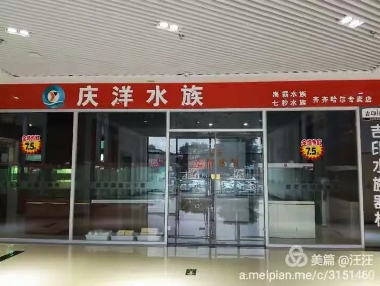 齊齊哈爾龍魚專賣店