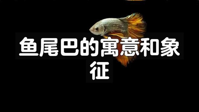 龍頭魚尾圖案在藝術中如何運用？