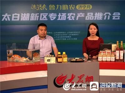 大正錦鯉魚(yú)的日常養(yǎng)護(hù)要點(diǎn)（大正三色錦鯉日常養(yǎng)護(hù)需要注意以下幾個(gè)關(guān)鍵點(diǎn)）