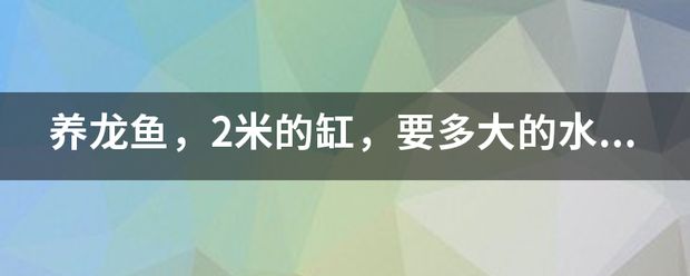 金龍魚突然不吃小魚了：金龍魚如何選擇適宜的水泵流量