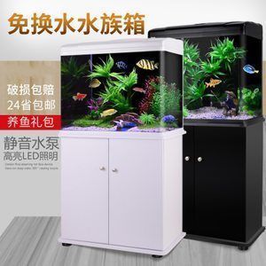 金龍魚突然不吃小魚了：金龍魚如何選擇適宜的水泵流量