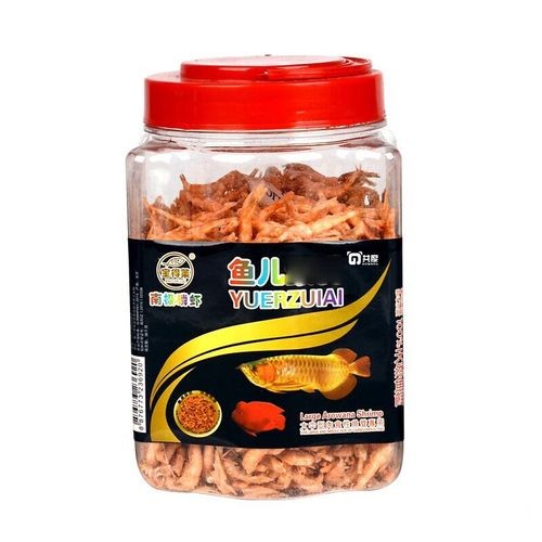 銀龍魚要吃什么食物好