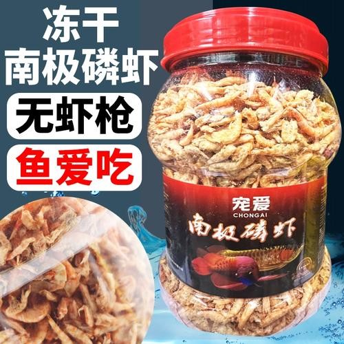 銀龍魚要吃什么食物好