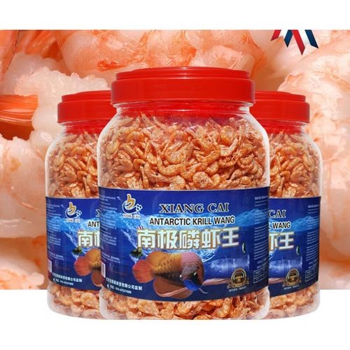 銀龍魚要吃什么食物好