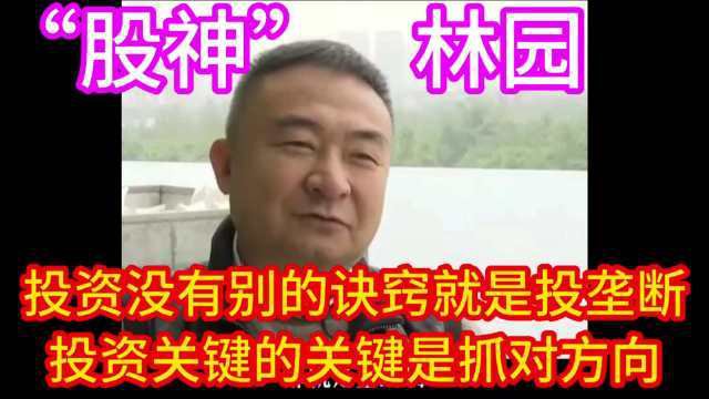 林園投資的投資策略是什么