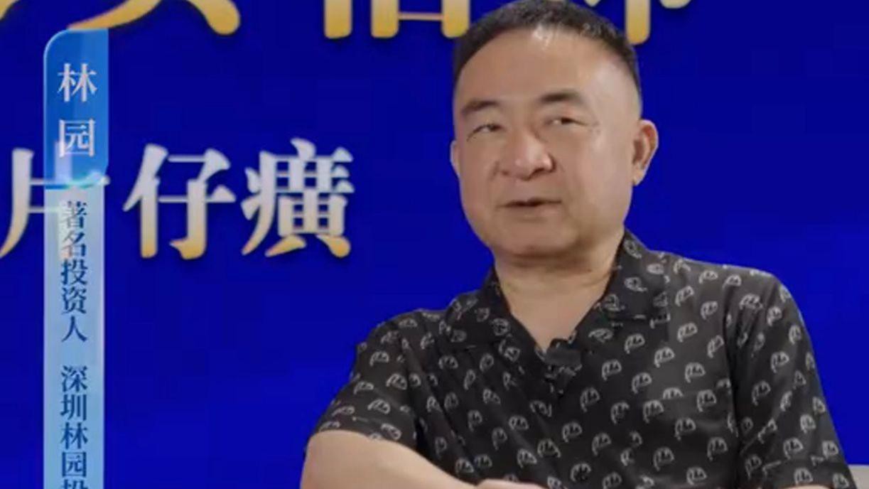 林園投資的投資策略是什么