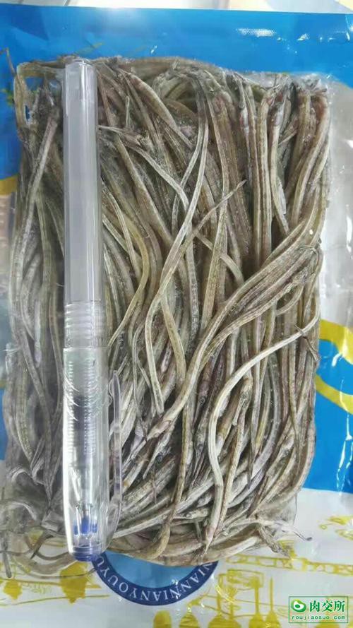 海龍魚圖片大全大圖高清壁紙