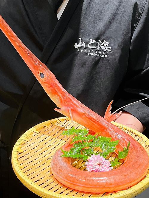 海龍魚圖片大全大圖高清壁紙