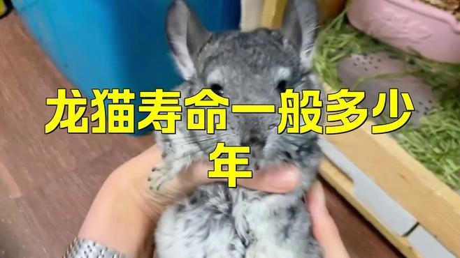 龍貓的平均壽命有記錄嗎？